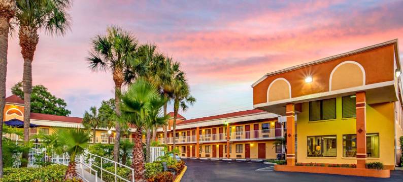 南坦帕套房酒店(Hotel South Tampa & Suites)图片