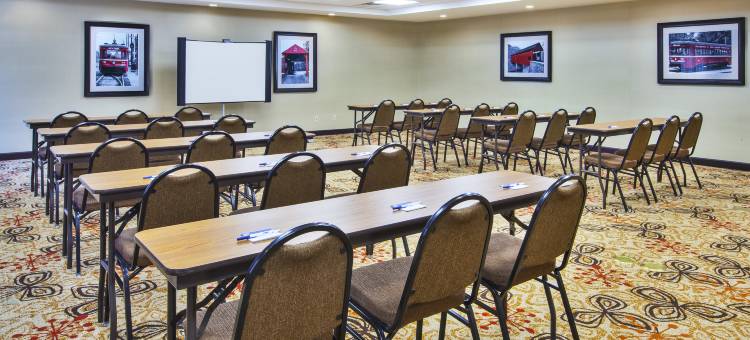 智选假日套房酒店华盛顿(Holiday Inn Express & Suites Washington - Meadow Lands)图片