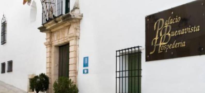 布埃纳维斯塔皇宫酒店(Hotel Palacio Buenavista)图片