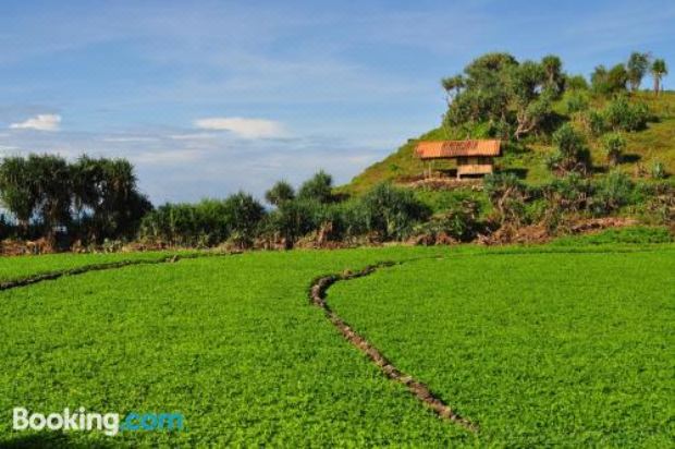 Villa Tentrem Hotel Reviews And Room Rates