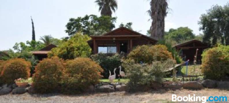 诺夫基尼尔特酒店(Nof Kinnert)图片