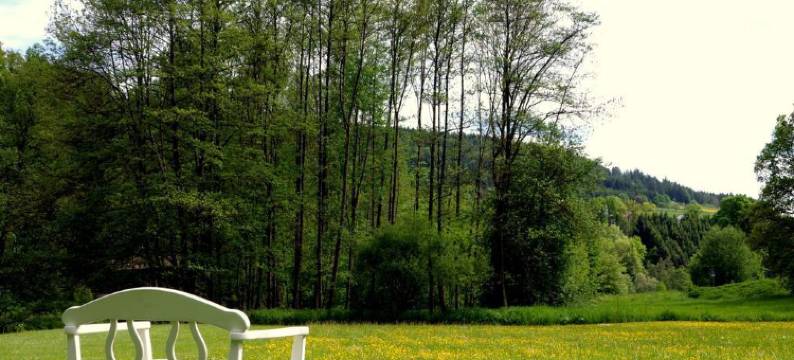 普隆德菲磨坊乡村酒店(Landhotel Pfrondorfer Mühle)图片