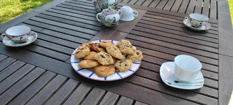 霍特比斯别墅(Villa Hortebise)图片