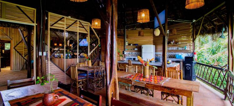 科托科查旅馆(Cotococha Amazon Lodge - Napo River Lodge)图片