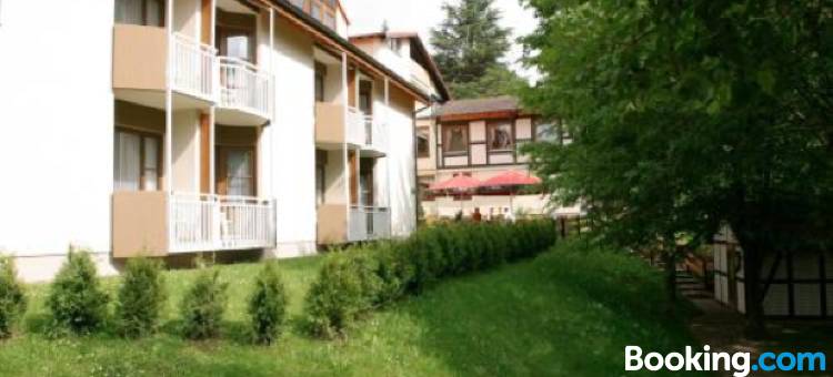 兰德萨伯坦利酒店(Hotel Landhaus Silbertanne)图片