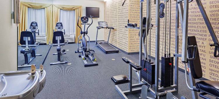 阿尔文拉昆塔温德姆套房酒店(La Quinta Inn & Suites by Wyndham Alvin)图片