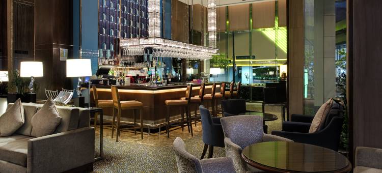 新加坡乌节市中心假日酒店 - IHG 旗下酒店(Holiday Inn Singapore Orchard City Centre)图片