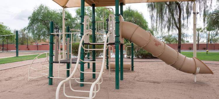 韦斯特盖特平特德山脉高尔夫度假村(Westgate Painted Mountain Golf Resort)图片