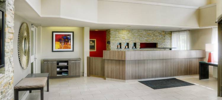 舒适酒店(Comfort Inn)图片