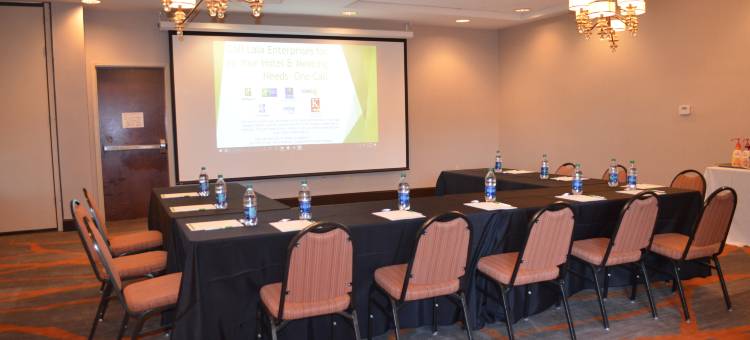 东么利迪恩I 59 / I 20假日酒店(Holiday Inn Meridian E - I 20/I 59)图片