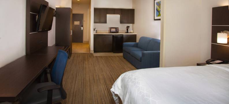 洲际酒店集团智选假日酒店及套房夏洛特港(Holiday Inn Express & Suites Port Charlotte, an IHG Hotel)图片