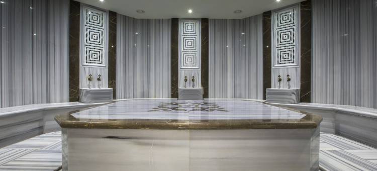 丽柏酒店-伊斯坦布尔阿塔图尔克机场(Park Inn by Radisson Istanbul Ataturk Airport)图片