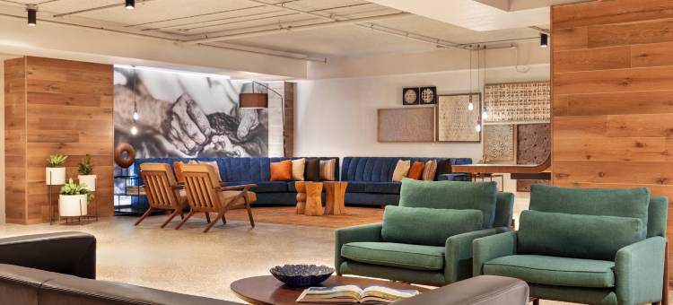 坦帕阿尔巴酒店，希尔顿启缤精选(Hotel Alba Tampa, Tapestry Collection by Hilton)图片