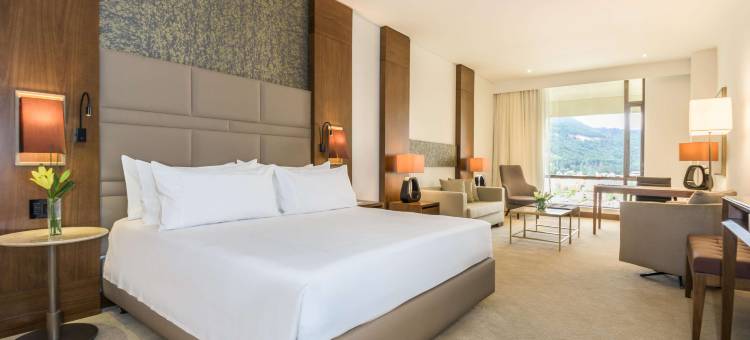 波哥大特里波特皇家NH典藏酒店(NH Collection Bogotá Teleport Royal)图片