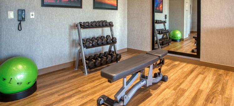 亨茨维尔太空火箭中心德鲁里套房酒店(Drury Inn & Suites Huntsville Space & Rocket Center)图片