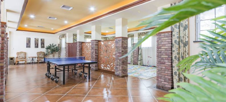 涿州利兹假日酒店图片