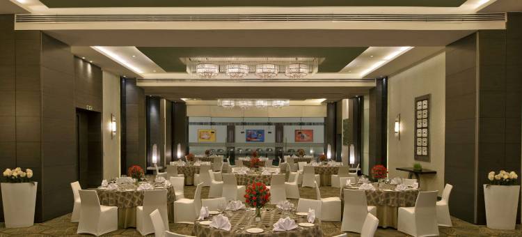 加尔各答巴利冈格凯悦尚萃酒店(Hyatt Centric Ballygunge Kolkata)图片