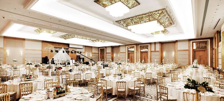伊斯坦布尔希什利丽笙酒店(Radisson Blu Hotel, Istanbul Sisli)图片