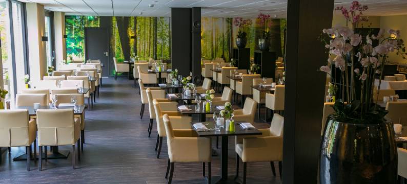 德布尔特迪斯弗莱彻酒店(Fletcher Hotel Restaurant de Eese)图片