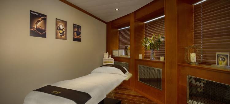 伦敦尚泊游艇酒店(Sunborn London Yacht Hotel)图片