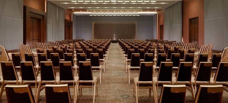 Radisson Blu Hotel, Conakry图片