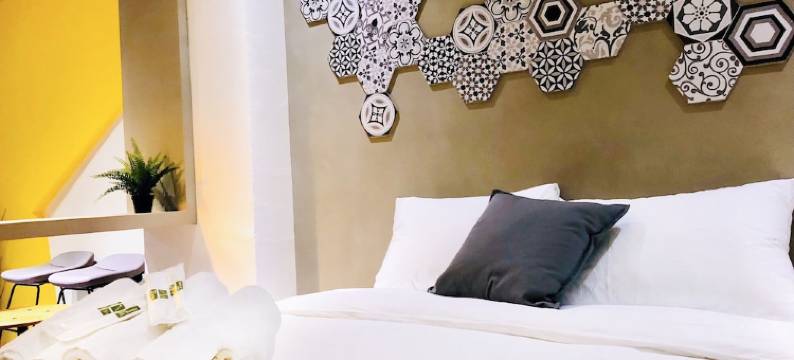 逐日光而居图片