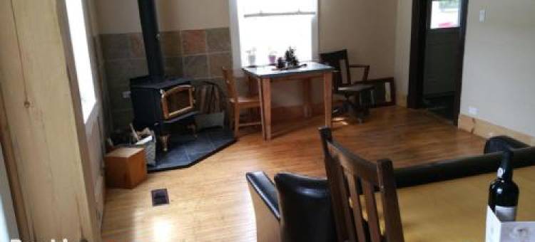 23枫(23Maple)图片