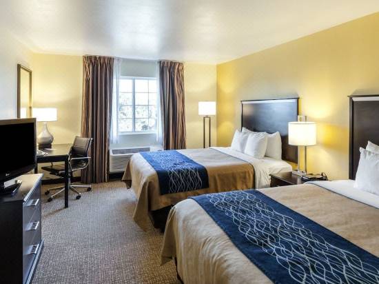 Comfort Inn Suites Texas Hill Country Hotel Reviews And Room Rates