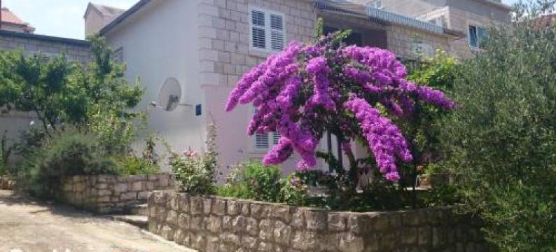 Apartments Laura图片