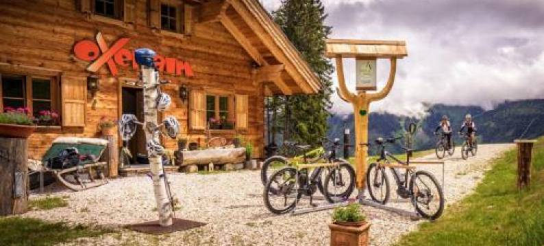 Appartements Freiraum图片