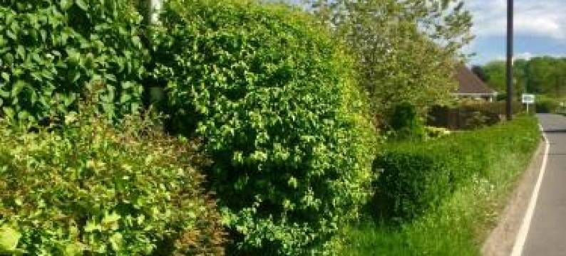 马尔伯里巴恩住宿加早餐旅馆(Lovely Barn Ann-Exe 2 Floors Near Winchester)图片