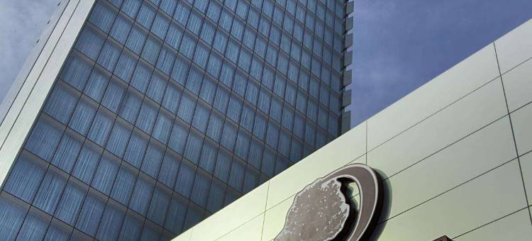 伊斯坦布尔阿维克拉尔希尔顿逸林酒店(DoubleTree by Hilton Istanbul-Avcilar)图片