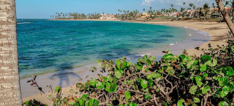 拉斯奥拉斯别墅酒店(Las Olas Villa)图片