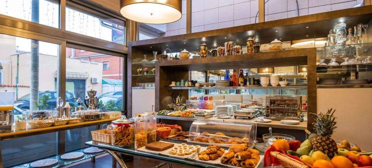 菲乌米奇诺罗马机场酒店(Rome Airport Hotel Fiumicino)图片