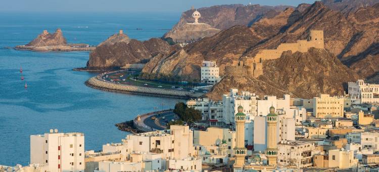 丽笙酒店(Radisson Blu Hotel, Muscat)图片