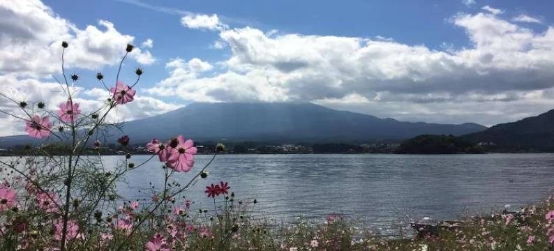 格兰小立独栋日式别墅(Grand Little Stand-alone Japanese-style Villa)图片