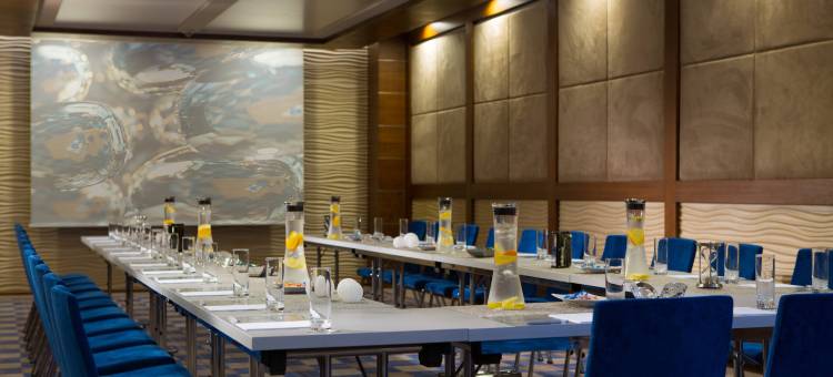 伊兹密尔万丽酒店(Renaissance Izmir Hotel)图片