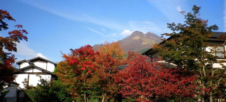 汤布院山田日式旅馆(Ryoso Yufuin Yamadaya)图片