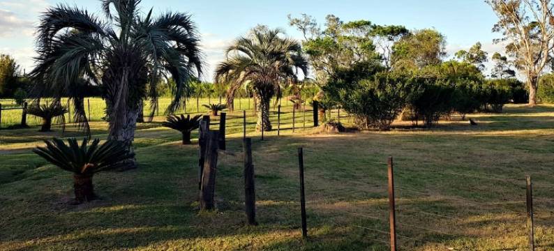 查奎达青年旅舍(Charqueada Hostel)图片