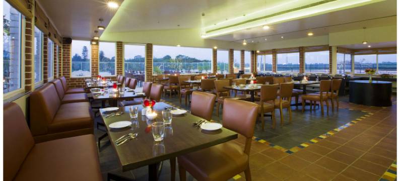 班加罗尔郁金香酒店(Hotel Tulip Bangalore)图片