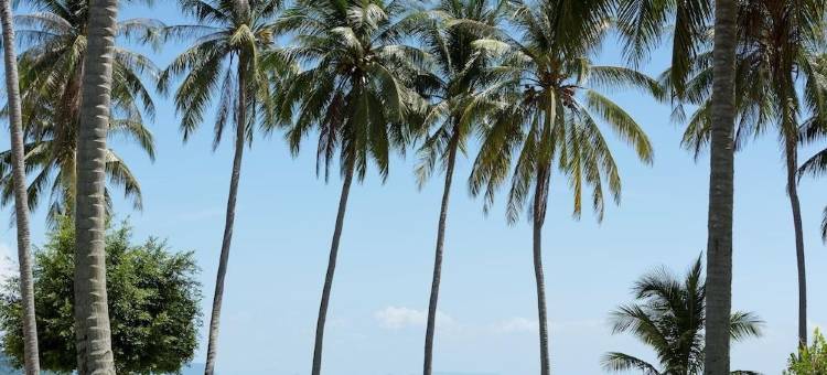 苏梅岛安凡尼臻选度假酒店(Avani + Samui)图片