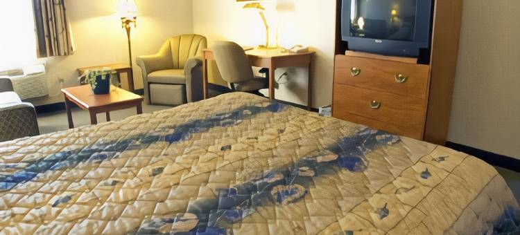 十字路贝斯特韦斯特酒店(Best Western Thunder Bay Crossroads)图片