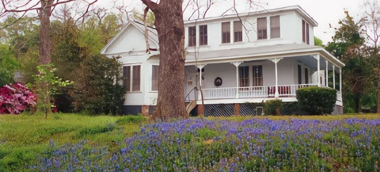 碧玉贝斯特韦斯特酒店(Best Western Inn of Jasper)图片