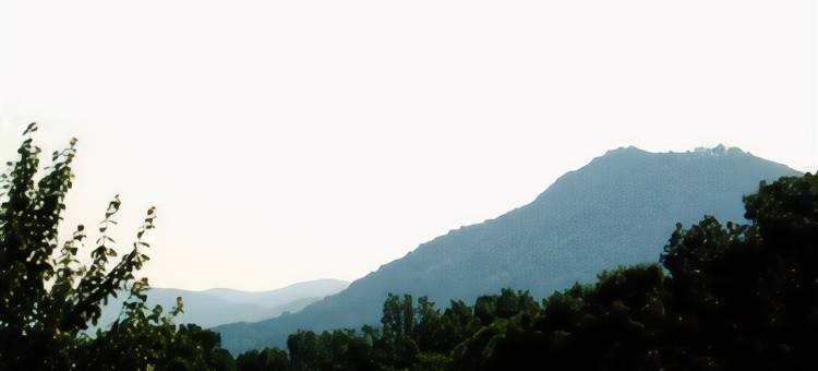 纽波特口贝斯特韦斯特酒店(Best Western Newport Inn)图片