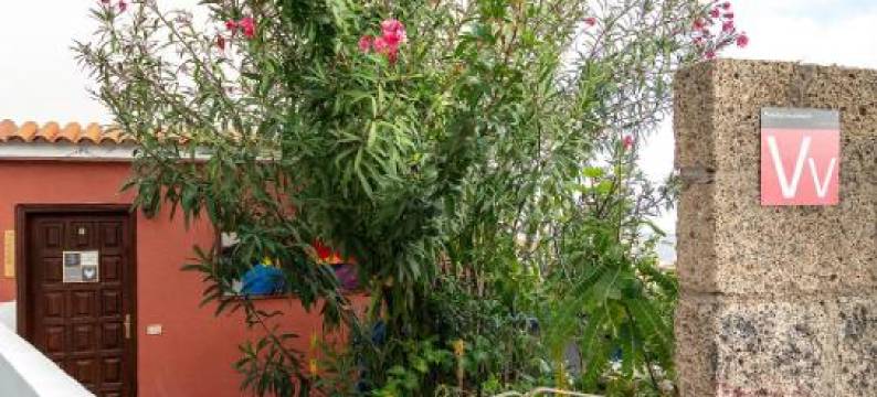 莫林加花园Spa公寓(Moringa Garden Spa)图片