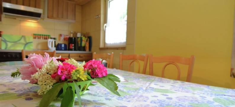 Vintage Holiday Home in Lonau With Pool图片