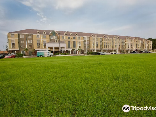 拉斐特机场Homewood Suites by Hilton