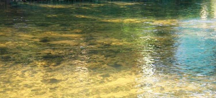 帕拉蒂苹果屋旅馆(Pousada Apple House Paraty)图片