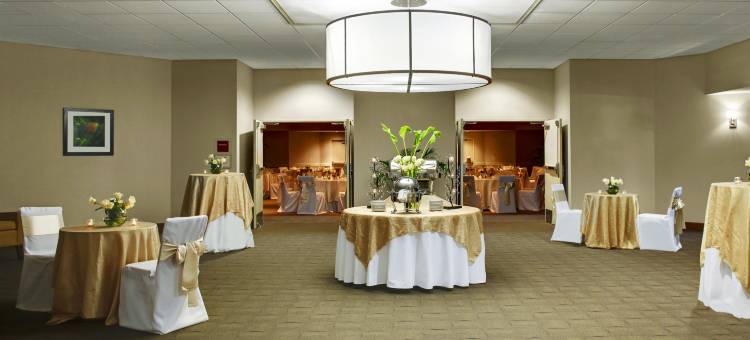 奥兰多国际大道福朋喜来登酒店(Four Points by Sheraton Orlando International Drive)图片