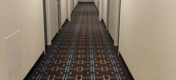 温德姆波士顿笔架山酒店(Wyndham Boston Beacon Hill)图片